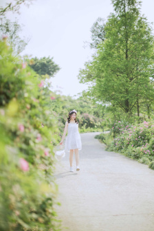 菠萝蜜小